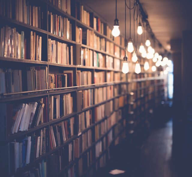 Kindle vs. iPad-Biblioteca